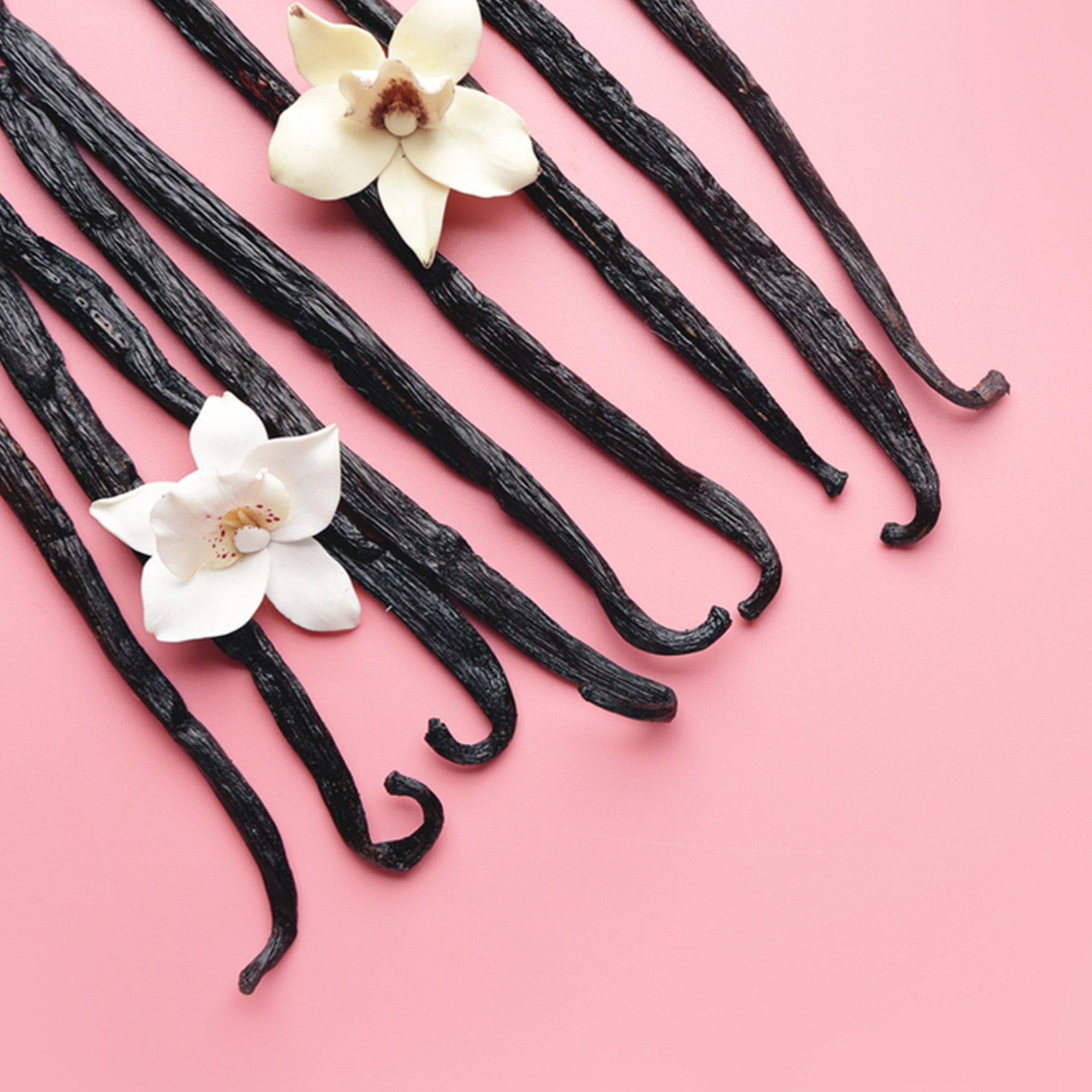 confect vanilla beans 10 pods 44 50 gms