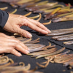 confect vanilla beans 10 pods 44 50 gms
