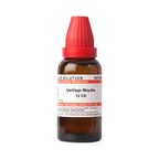 Dr. Willmar Schwabe India Ustilago Maydis Dilution