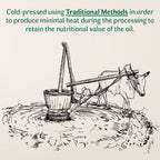 Vediko Origins Black Mustard Oil - Distacart