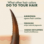 Sacred Herbs Ammonia & PPd Free Natural Organic Gel Dark Brown Hair Color For Men & Women - Distacart