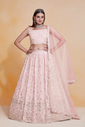 Skyblue Georgette Zari,Sequence Embroidery Work Lehenga Choli - Jihu Culture