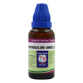 Father Muller Ornithogalum Umbellatum Mother Tincture Q - Distacart