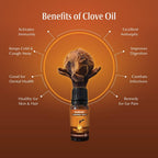Dwibhashi Clove Oil (Lavanga Taila)