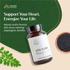 Kerala Ayurveda USA Vital Flow - Normact Tablets