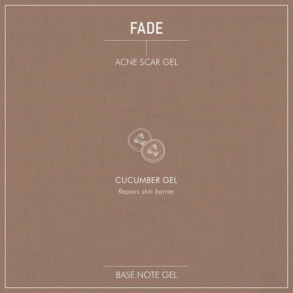 Secret Alchemist Fade Acne Scar Gel