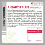 Millennium Herbal Care Antarth Soft Gelatin Capsules - Distacart
