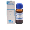 SBL Homeopathy Boldo Mother Tincture Q