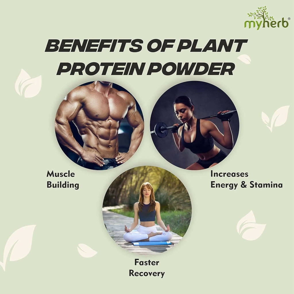 Myherb Plant Protein Powder, Pea And Brown Rice Protein Powder - Chocolate Flavour - Distacart