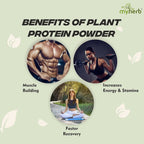 Myherb Plant Protein Powder, Pea And Brown Rice Protein Powder - Chocolate Flavour - Distacart