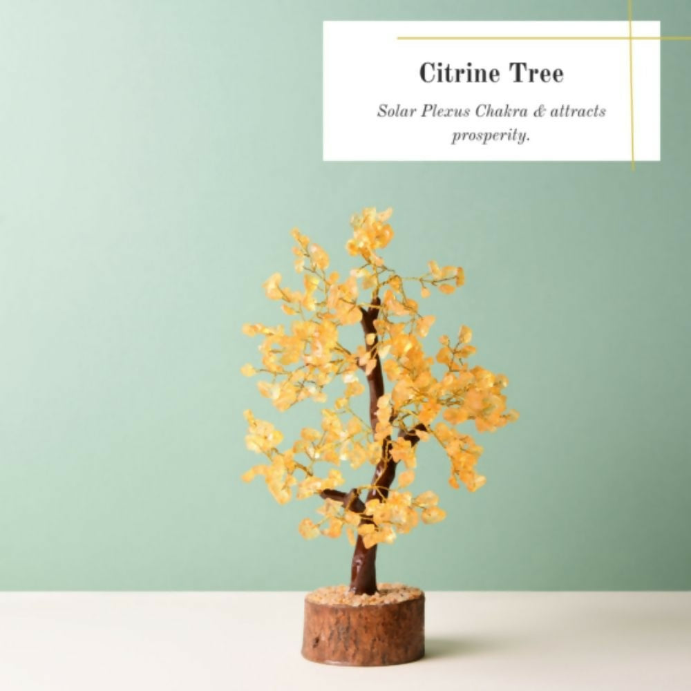 B 300TREE CI (2)