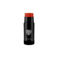 PAC Studio Pen Stick - 519