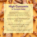 Siddhayu Ayurveda Turmeric Yogue Latte Mix - Distacart