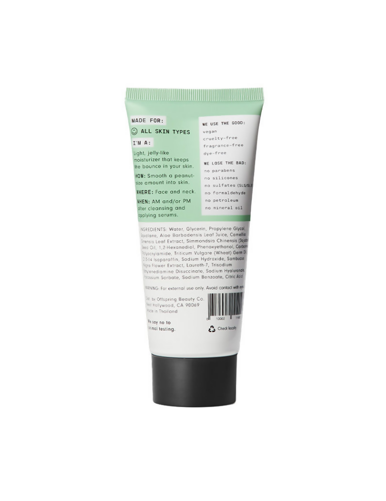 Versed Dew Point Moisturizing Gel Cream