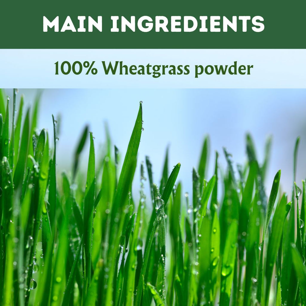 Herbal Hills Ayurveda Wheatgrass Tablets - Distacart