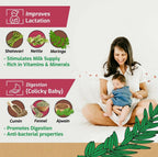 Shuddh Natural MAA Adaptogenic Women Wellness Tea - Distacart