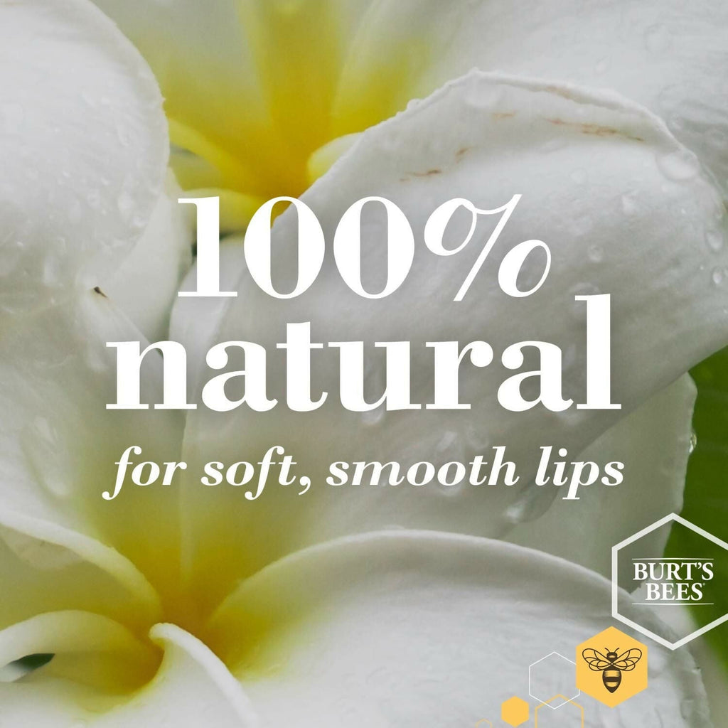 Burt's Bees Natural Moisturizing Lip Balms (Wild Cherry & Vanilla Bean)