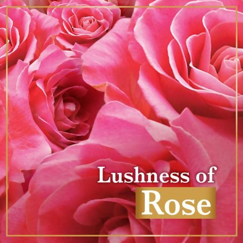 Lux Soft Touch Silk Essence & Rose Water Soap Bar
