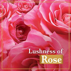 Lux Soft Touch Silk Essence & Rose Water Soap Bar