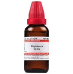 Dr. Willmar Schwabe India Phytolacca Dilution - Distacart