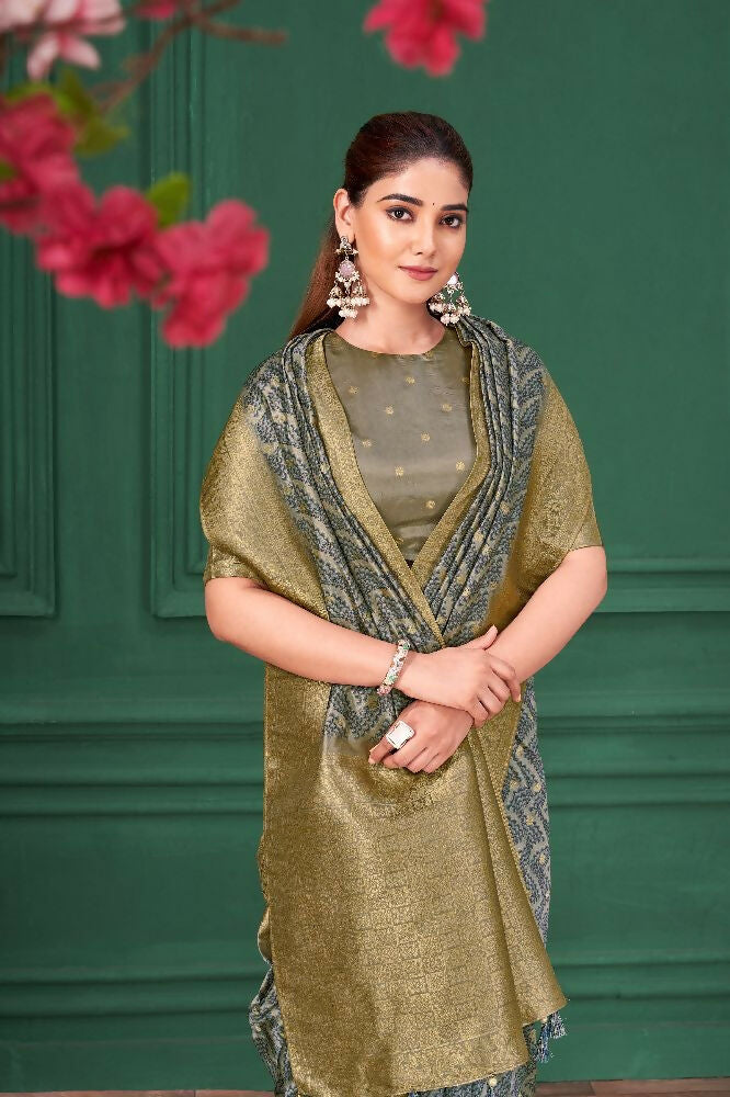 Grey Tussar Silk Jacquard Abstract Digital Print Saree with Unstitched Blouse - Mohira