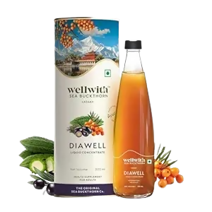 Wellwith DiaboWin (Diawell) Karela & Jamun Juice with Seabuckthorn - Distacart