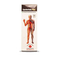 Alakananda Herbals Cardorium Plus Ayurvedic Syrup - Distacart