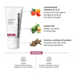 Dermalogica Multivitamin Power Recovery Masque