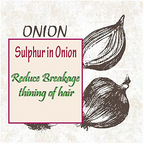 Urbaano Herbal Onion Oil + Shampoo & Conditioner Hair Care Set