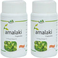 Jain Ayurveda Amalaki Capsules