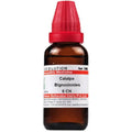 Dr. Willmar Schwabe India Catalpa Bignonioides Dilution