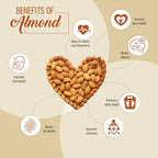 Upaveda Almonds