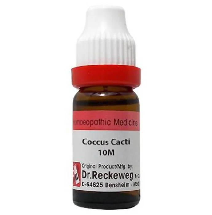 Dr. Reckeweg Coccus Cacti Dilution - Distacart
