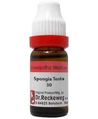 Dr. Reckeweg Spongia Tosta Dilution - Distacart