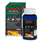 download - 2024-12-12T120628.842