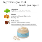 Shankara by Sri Sri Tattva Moisturizing Mask - Distacart