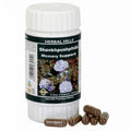 Herbal Hills Ayurveda Shankhpushpihills Capsules