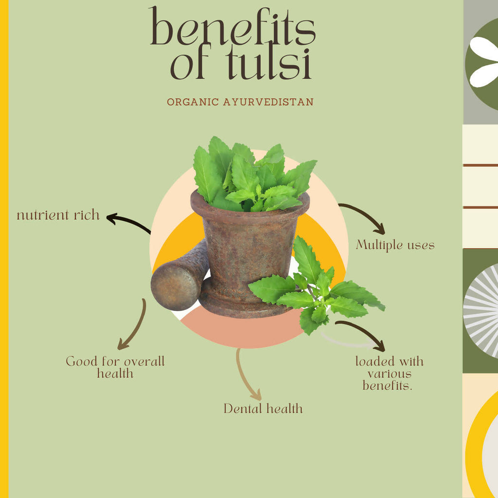 Organic Ayurvedistan Tulsi Powder - Distacart