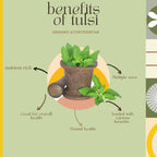 Organic Ayurvedistan Tulsi Powder - Distacart