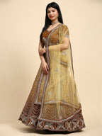 Brown Fancy Net Sequence Embroidered Lehenga Choli with Dupatta - Dhara