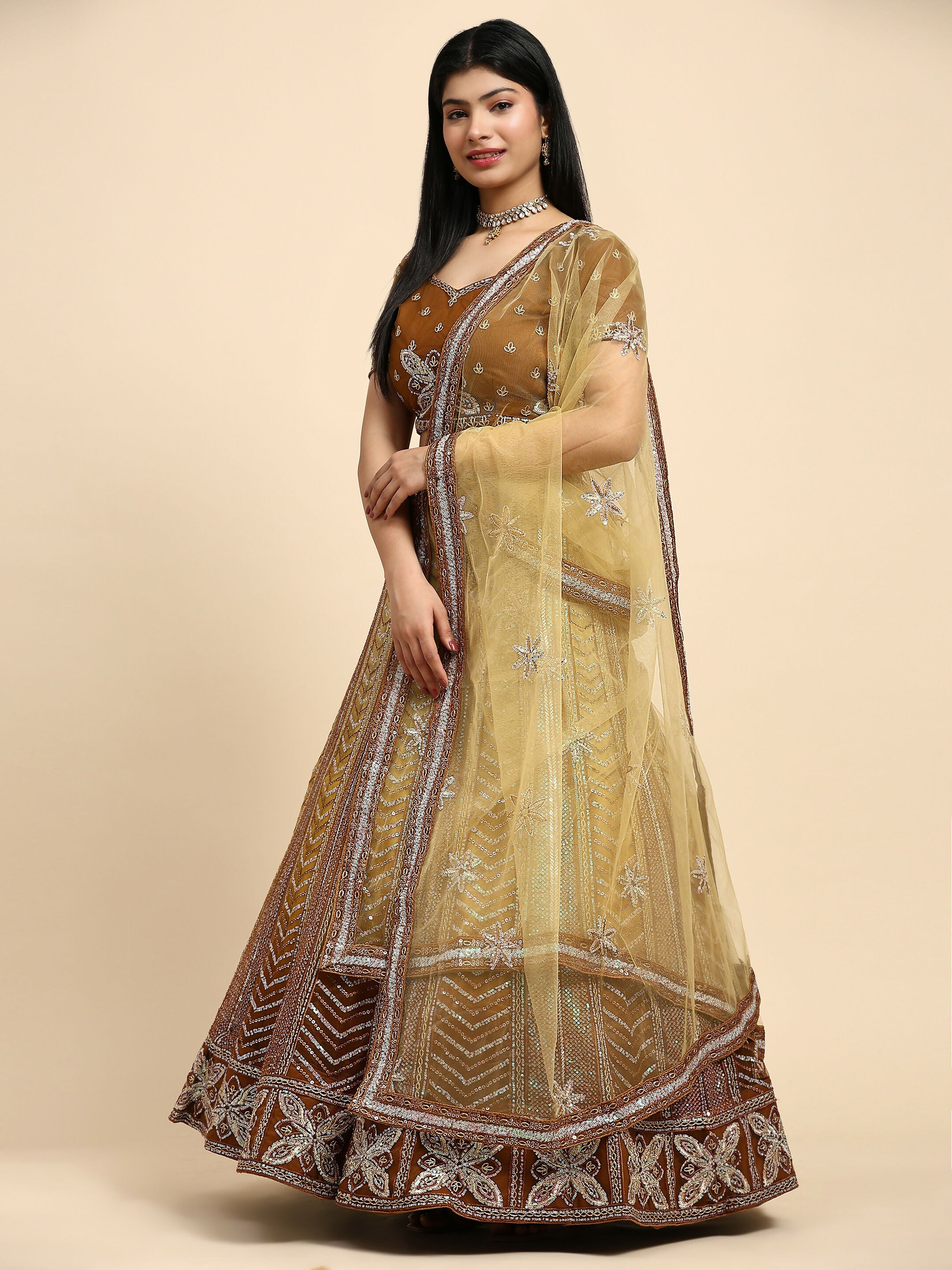 Brown Fancy Net Sequence Embroidered Lehenga Choli with Dupatta - Dhara