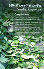 Nat Habit Curry Sesame Winter Hair Oil