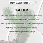 Ktein Cactus Heat Gel: 392°F Ultimate Heat Defense & Luscious Hair