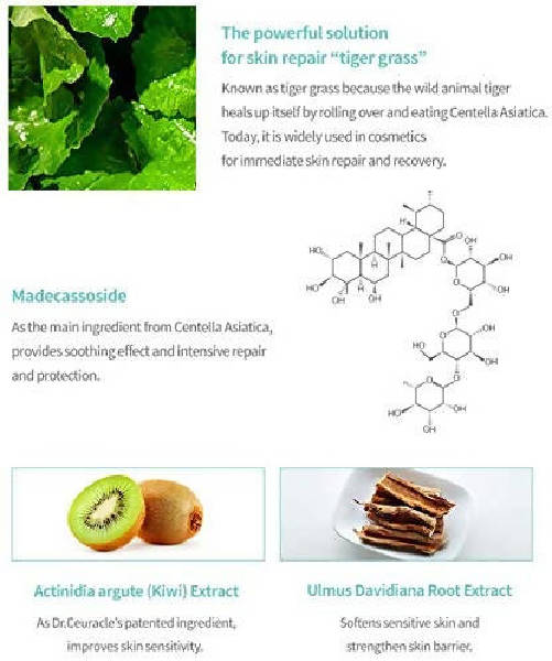 Dr.Ceuracle Cica Regen 92 Toner