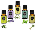 Earth N Pure Essential Oils (Tea Tree, Lavender, Eucalyptus, Peppermint & Lemongrass)