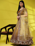 Brown Fancy Net Sequence Embroidered Lehenga Choli with Dupatta - Dhara