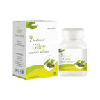 Four Seasons Giloy Immunity Wellness Tablets - Distacart