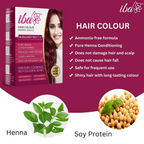 Iba Hair Color - Burgundy Red - Distacart