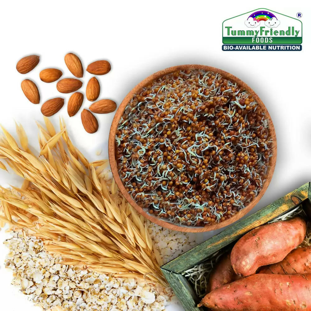 TummyFriendly Foods Certified Organic Multi-Grain, Sprouted Ragi, Oats, Red Lentil, Banana and Sathu Maavu Porridge Mixes Combo - Distacart