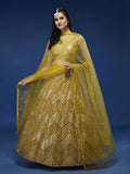 House of Panchhi Mustard Net Sequinse Work Lehenga & Blouse, Dupatta